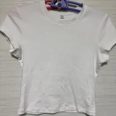 Item thumbnail for item bc3853fd-60f2-40ae-af17-387541e5be91