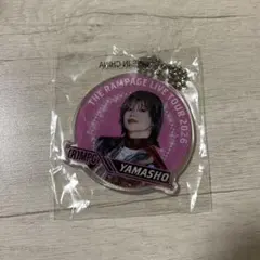 2026年最新】山本彰吾キーホルダーの人気アイテム - メルカリ
