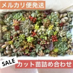 ひーちゃん様 リクエスト 2点 まとめ商品