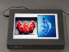 Item thumbnail for item de1b9b36-8db1-4d5d-b02f-819b420dd257