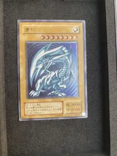 膳*藤様 ワンオーナー 極美品 微青艶 青眼の白龍 レリーフ