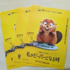 私がビーバーになる時　映画　フライヤー　3枚セット！Disney PIXAR