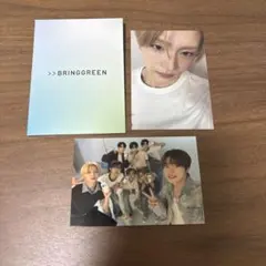 BRINGGREEN サンウォン ALD1 ALPHADRIVEONE トレカ