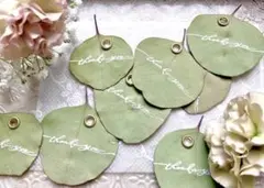 ユーカリポポラス　サンキューカード　50枚