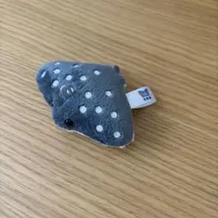 海遊館　エイ　ボールチェーン　キーホルダーのサムネイル