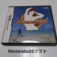 NintendoDSソフト　きみのためなら死ねる