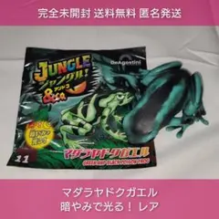【早い者勝ち】【A8】ジャングル アンドコ マダラヤドクガエル 完全未開封