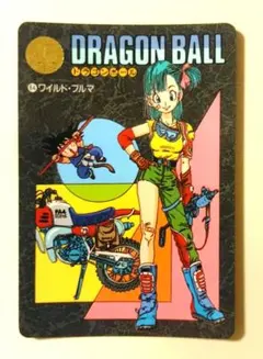 2026年最新】発売年：1991 ドラゴンボールカード ビジュアル