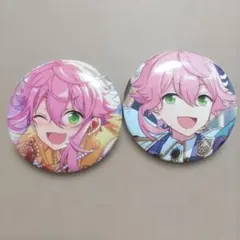 あんさんぶるスターズ あんスタ 缶バッジセット 姫宮桃李 2