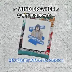 WIND BREAKER ⚝ キラぷるステッカー / 杉下 京太郎