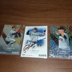 Item thumbnail for item e0727589-f4dc-4e55-8d94-60e979bd4089