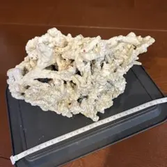 デスロック