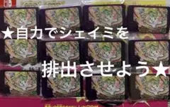 ポケモンフレンダ ゲームカード
