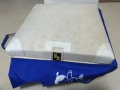 Item thumbnail for item d72bf6f9-06bc-443b-8284-b3780e37c1d4