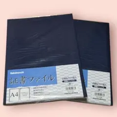 Item thumbnail for item 9322ea0a-81d7-4989-9cd8-942eb47d3c97