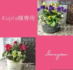 No.306　No.313 Kujira様専用　寄せ植え　花