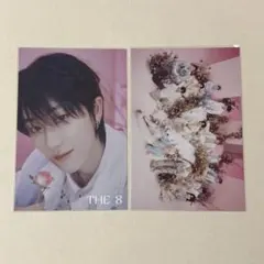 SEVENTEEN MUSEUM THE8 ポストカード