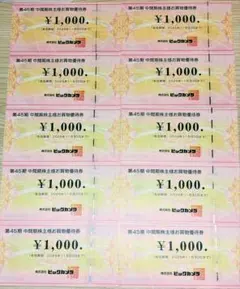 ビックカメラの株主優待券 10,000円分（1,000円券×10枚）