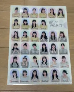 ハロプロ　クリアファイル　2024 White