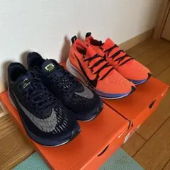 Item thumbnail for item ec9271c4-0be4-4ae8-89f6-d375d29a06c3