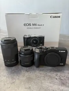 2025年最新】eos m6 ダブルズームキットの人気アイテム - メルカリ