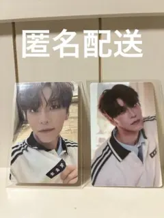 ALD1 ジュエルケース シンロン　トレカ　ステッカー