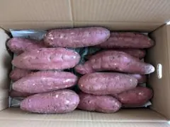 鹿児島県産新さつま芋5キロのサムネイル