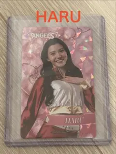 東北ゴールデンエンジェルス HARU カードのサムネイル