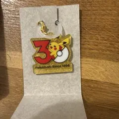 ポケチャーム ポケモン30周年ロゴマスコット2 ピカチュウ