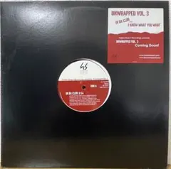 V.A./UNWRAPPED VOL.312インチレコード