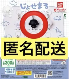 じょせまる めじるしアクセサリー 黒