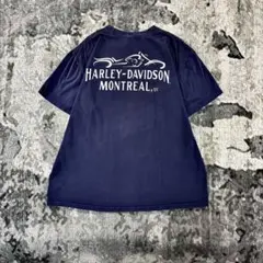 レアカラー×レアプリント ハーレー 雰囲気抜群 一点物 XL Tシャツ ゆるだぼ