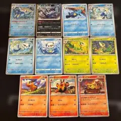 11種　ポケカ ヒスイ御三家セット　ブラックホワイト　BW