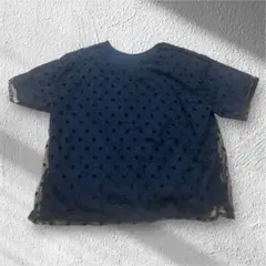 AZUL BY MOUSSY ドット柄チュール重ねTシャツのサムネイル