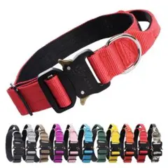 Item thumbnail for item 818c1fd4-efda-49d5-a54f-22e4fab1b688