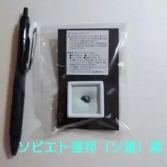 r*l様 博物館級 最恐 古代クジラ リヴィアタンメルビレイ 歯 化石 鉱物