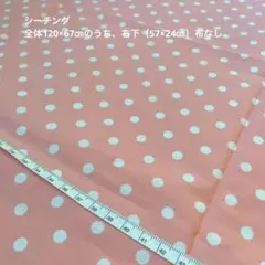 はぎれ　水玉 綿生地 約120×67㎝のうち、右下半分（67×24㎝）布なし