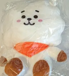 BT21 BASIC PLUSH L RJ ぬいぐるみ