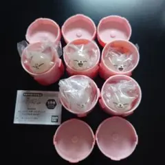 SKZOO フォクシニー アイエン ぷくっとバースデークリアリング 5個セット