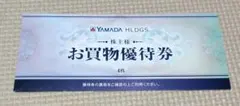 YAMADA HLDGS. お買物優待券 4枚