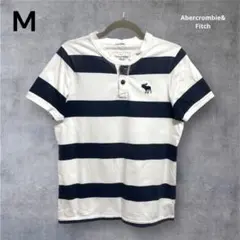 Abercrombie & Fitch 半袖 ポロシャツ Tシャツ アバクロ 夏