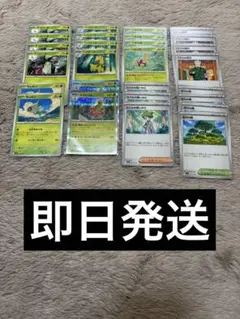 メガニウム おいしげる デッキパーツ メガシンフォニア 活力の森 ミツルの