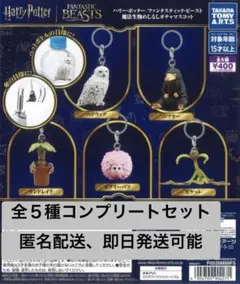 2026年最新】ファンタスティックビースト グッズの人気アイテム - メルカリ