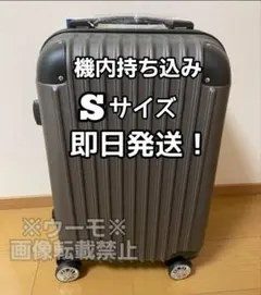 希少】【ほぼ未使用】新世紀ヱヴァンゲリヲン スーツケース はるやま