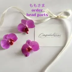 Item thumbnail for item 91dcb7d3-8d76-4474-8051-2ccfec0a1dc7