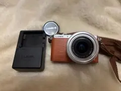 動作確認済み 【常時給電用DCカプラー付】現状品 LUMIX GM1S ボディ