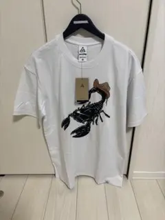 値下げ不可 nike ACG scorpion tee US:Sサイズ 新品
