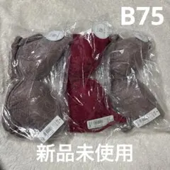 エメフィール　楽ブラ　極　B75 aimerfeel 新品未使用タグ付き