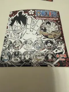 ONE PIECE ピンバッジ 、ONE PIECEカード