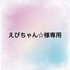 えびちゃん☆様専用ページ